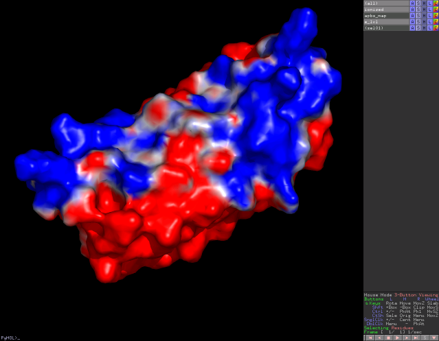 Electrostatics_with_APBS_and_PyMol_(molecular_surface)