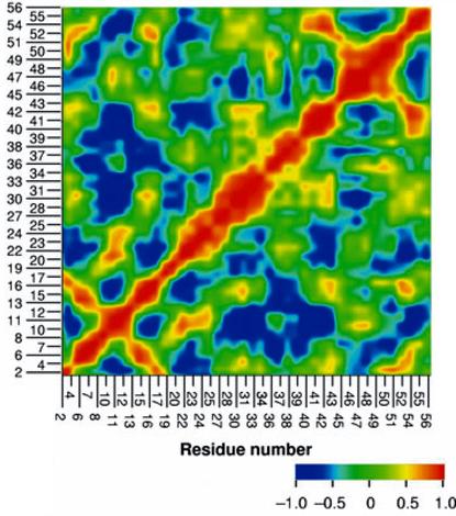  Protein G, NMR correlation matrix