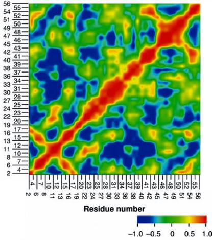  Protein G, NMR correlation matrix