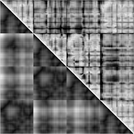  average CA-CA and rms merged