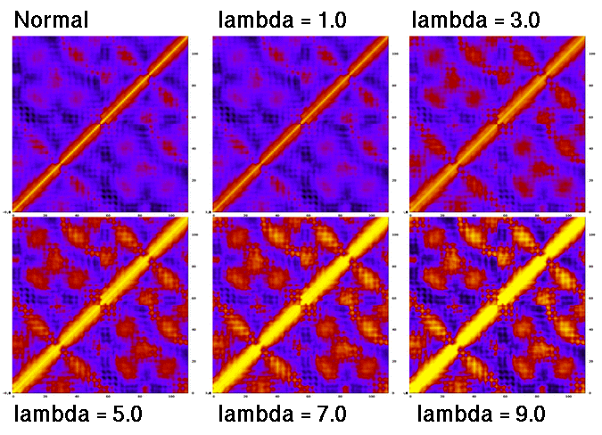  covariance maps calculated with different lambda values